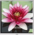/album/photo-gallery-canvas-uri/decoratiuni-de-perete-canvas-lc-0456-jpg/